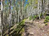 840 Forest Service Road 890 - Photo 17