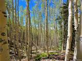 840 Forest Service Road 890 - Photo 18