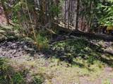 840 Forest Service Road 890 - Photo 20