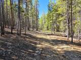 840 Forest Service Road 890 - Photo 5