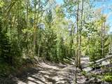 840 Forest Service Road 890 - Photo 41