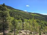 840 Forest Service Road 890 - Photo 43