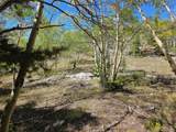 840 Forest Service Road 890 - Photo 44