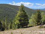 840 Forest Service Road 890 - Photo 46