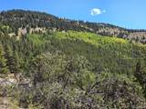 840 Forest Service Road 890 - Photo 10