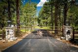 8360 Wranglers Way - Photo 2