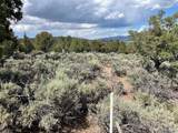 Lot 15 Deer Park Trail - Photo 12