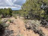 Lot 15 Deer Park Trail - Photo 17