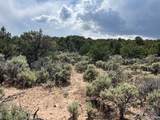 Lot 15 Deer Park Trail - Photo 6