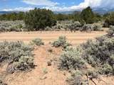 Lot 15 Deer Park Trail - Photo 7