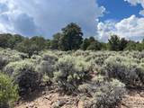 Lot 15 Deer Park Trail - Photo 10