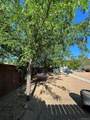 1121 Edison Avenue - Photo 19