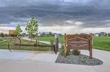 2296 Setting Sun Drive - Photo 27