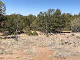 1924 Lone Pine Way - Photo 11