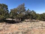 1924 Lone Pine Way - Photo 15