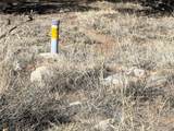 1924 Lone Pine Way - Photo 4