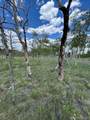 807 Bolster Drive - Photo 2