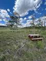 807 Bolster Drive - Photo 11