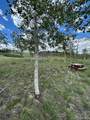 807 Bolster Drive - Photo 7