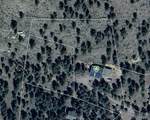 3890 Skyline Drive - Photo 40