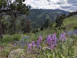 25421 Westridge Road - Photo 6