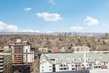 1155 Ash Street - Photo 38
