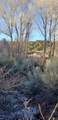 Lot 1359 Dunn Road - Photo 10