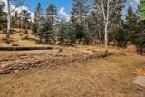 55 Meadow View Drive - Photo 36