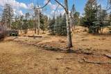 55 Meadow View Drive - Photo 37