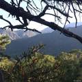 3514 Forest Trail Overlook - Photo 3