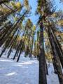 Lot 677 Alice Road - Photo 11