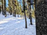 Lot 677 Alice Road - Photo 12