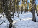 Lot 677 Alice Road - Photo 9