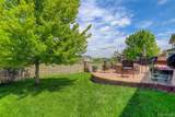 24351 Alamo Drive - Photo 9