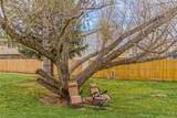 329 Butch Cassidy Drive - Photo 36
