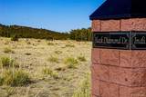  Black Diamond Drive - Photo 13