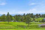 12249 Pine Vista Trail - Photo 34