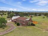 12249 Pine Vista Trail - Photo 41