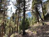 342 Ponderosa View - Photo 11