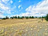 115 Black Canyon Court - Photo 12