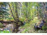 531 Caribou Road - Photo 13