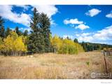 531 Caribou Road - Photo 15