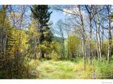 531 Caribou Road - Photo 19