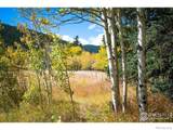 531 Caribou Road - Photo 22