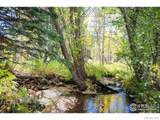 531 Caribou Road - Photo 6