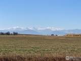 540 King Avenue - Photo 1