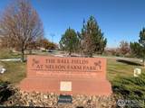 540 King Avenue - Photo 13