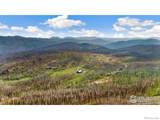 1081 Deer Horn Trail - Photo 11