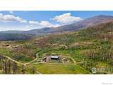 1081 Deer Horn Trail - Photo 4