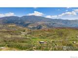 1081 Deer Horn Trail - Photo 6